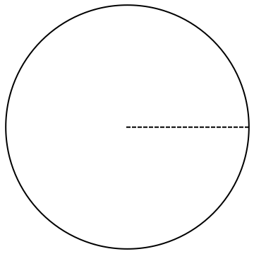 Slit Disk